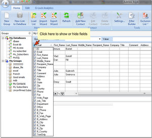 custom fields in G-Lock EasyMail address book